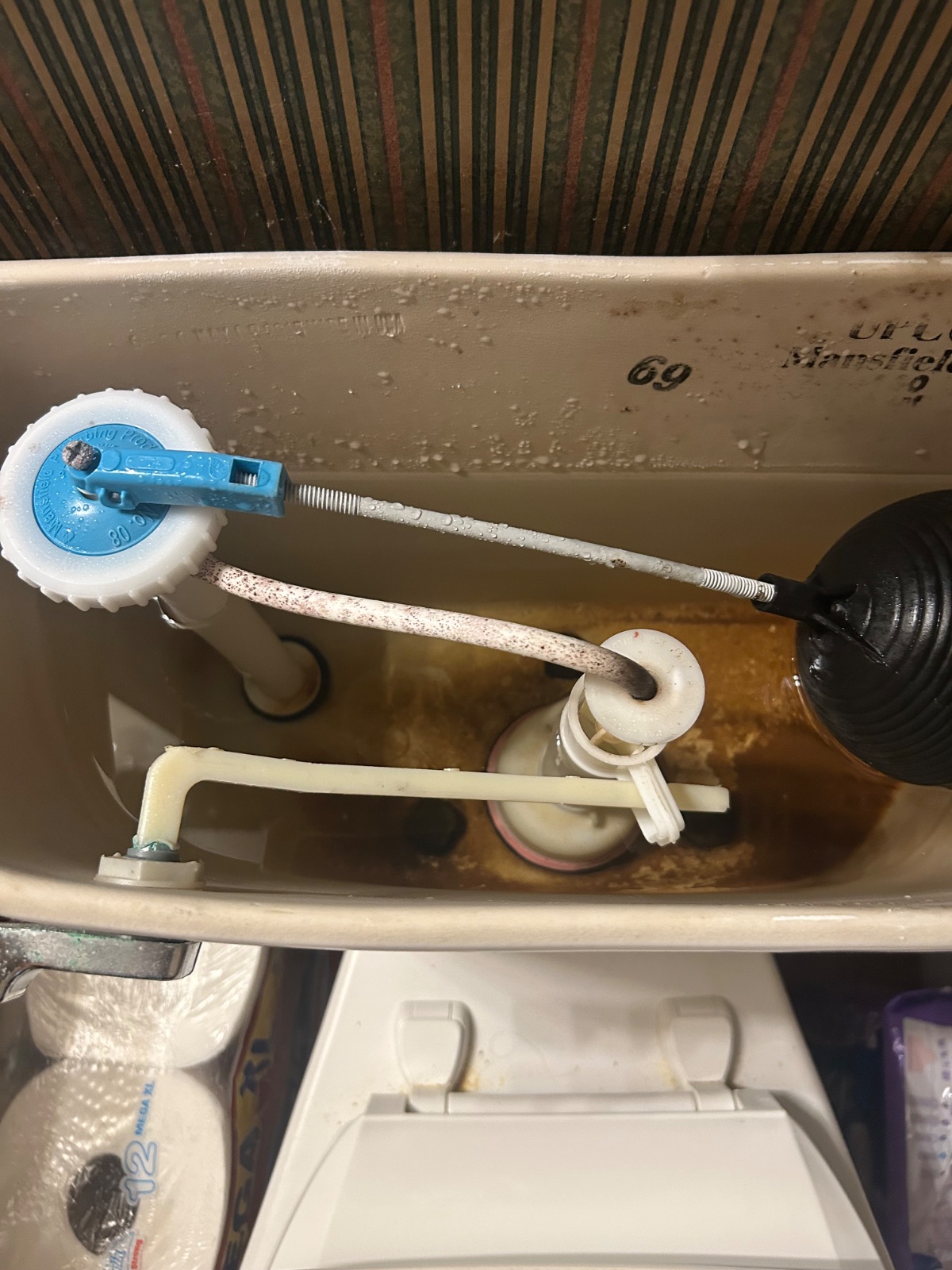 Fixtures (Toilet/Faucet/Disposal) in Hot Springs, AR by Bowen Plumbing