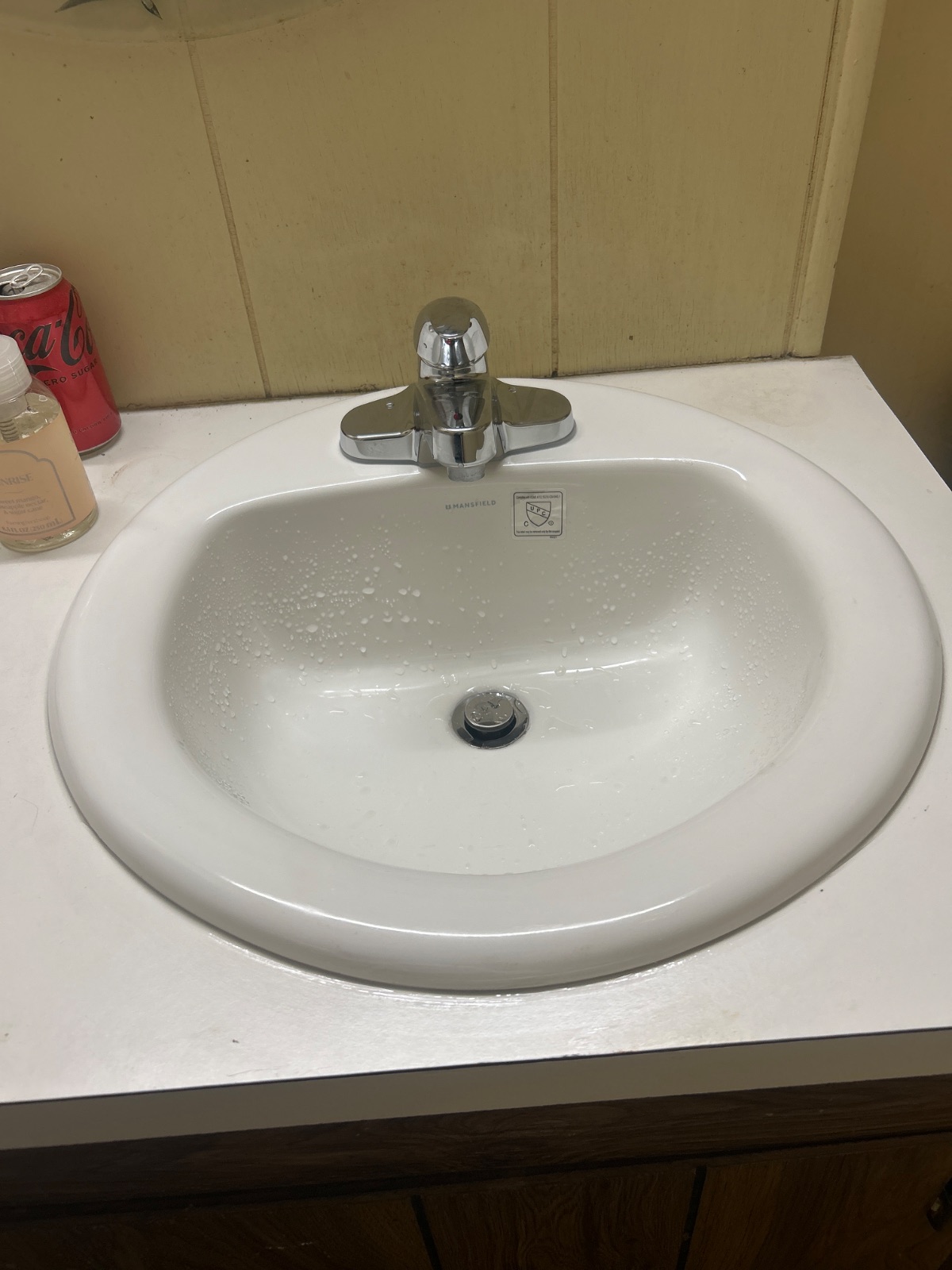 Fixtures (Toilet/Faucet/Disposal) in Hot Springs, AR by Bowen Plumbing